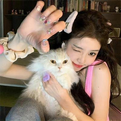 百分百感觉国语